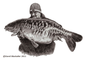 Pencil portrait of Tony Kingdon of Furzebray Lakes by David Blackaller